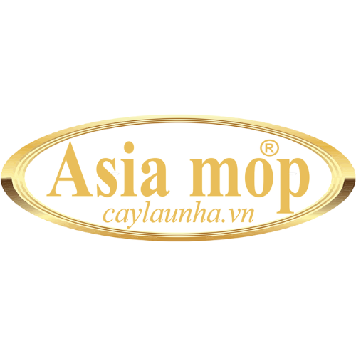 Cây lau nhà Asia Mop